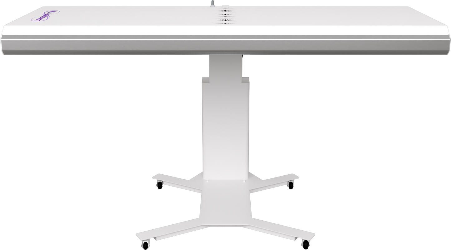 R2 Professional Red Light Therapy Panel